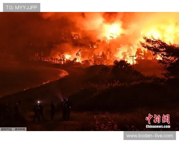 开云体育分析功能好用吗电子竞技投注盘口避坑防骗